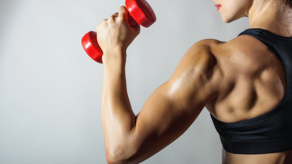 Muscle mass and muscle gain